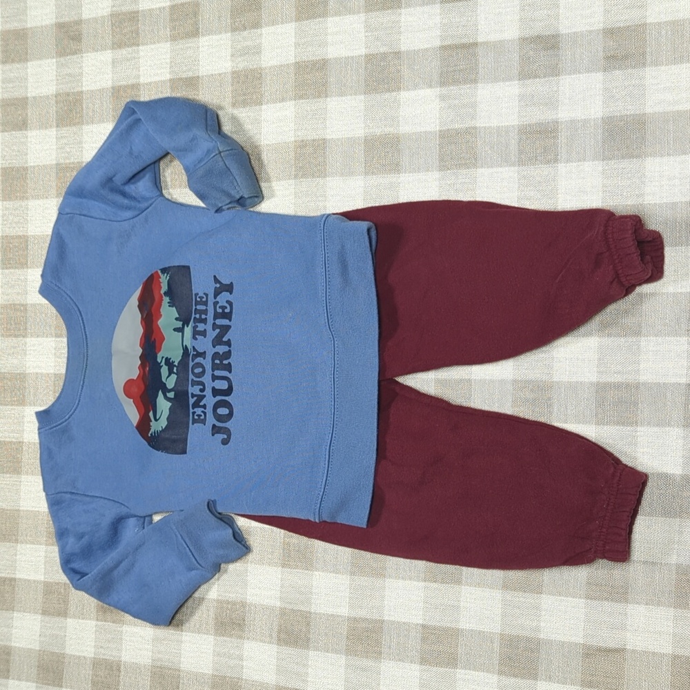 2T Garanimals matching Dinosaur Sweatshirt and sweatpants set